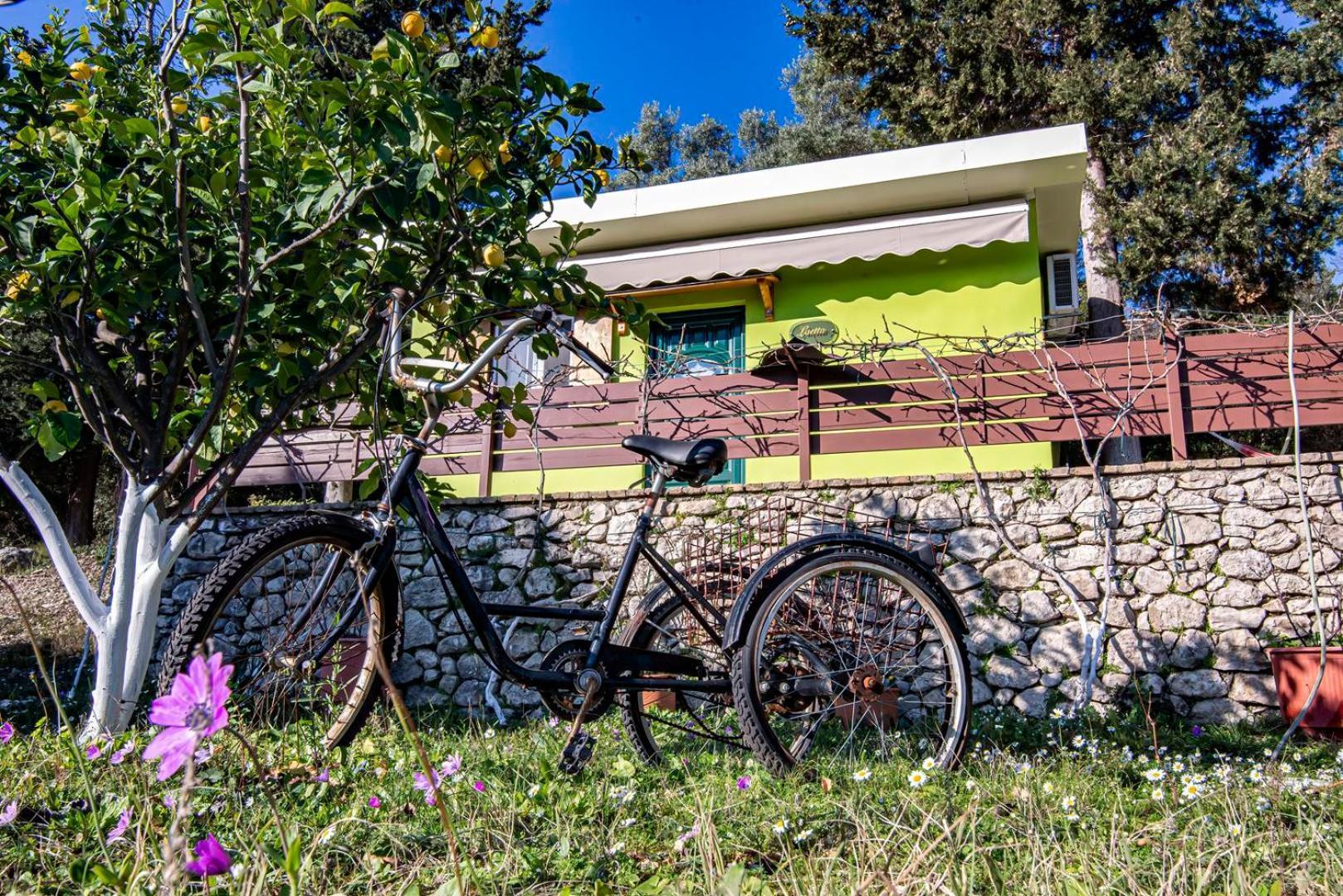 Forti Retreat