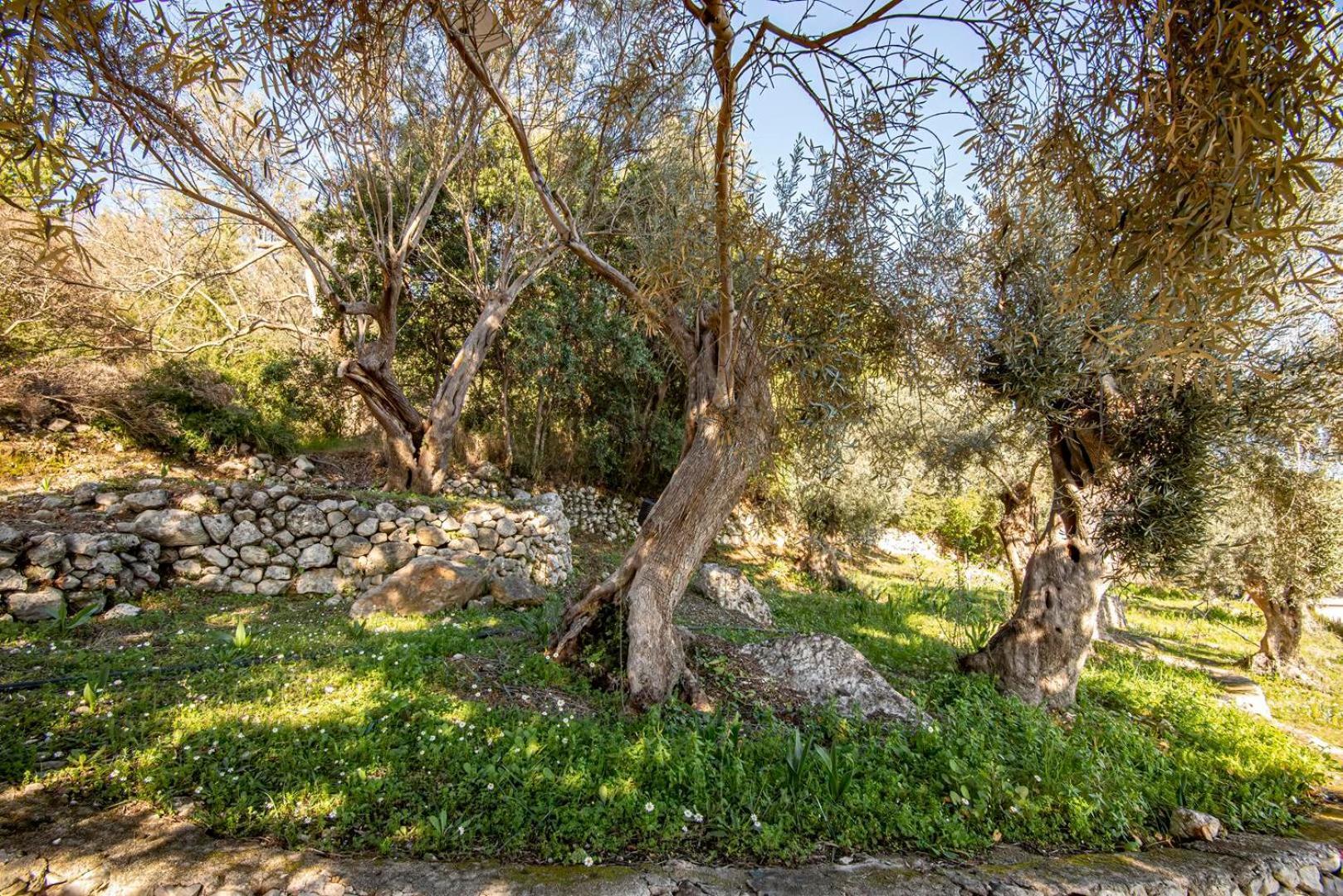 Holiday home Forti Retreat Kariotai